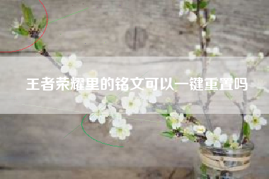 王者荣耀里的铭文可以一键重置吗