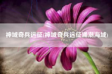 神域奇兵远征(神域奇兵远征涌潮海域)