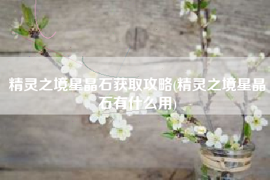 精灵之境星晶石获取攻略(精灵之境星晶石有什么用)