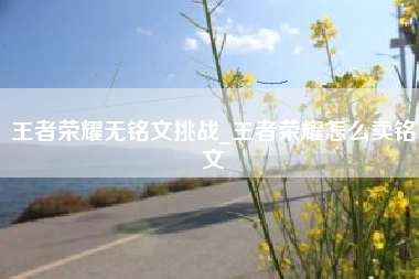 王者荣耀无铭文挑战_王者荣耀怎么卖铭文