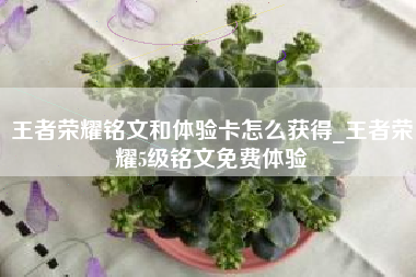 王者荣耀铭文和体验卡怎么获得_王者荣耀5级铭文免费体验