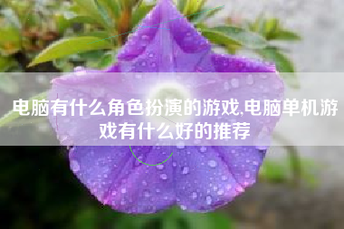 电脑有什么角色扮演的游戏,电脑单机游戏有什么好的推荐