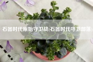 石器时代原始守卫战(石器时代守卫部落)