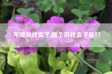 龙腾游戏盒子,哪个游戏盒子最好