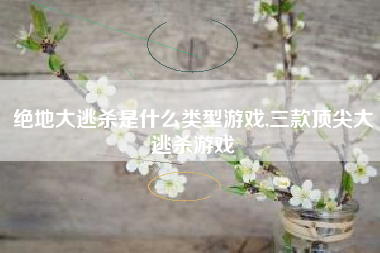 绝地大逃杀是什么类型游戏,三款顶尖大逃杀游戏