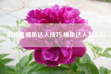 游戏机捕鱼达人技巧,捕鱼达人怎么打
