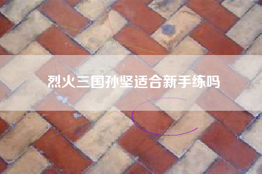 烈火三国孙坚适合新手练吗