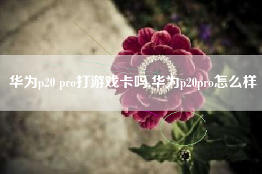 华为p20 pro打游戏卡吗,华为p20pro怎么样