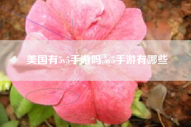 美国有5v5手游吗,5v5手游有哪些
