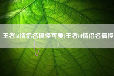王者id情侣名搞怪可爱(王者id情侣名搞怪)