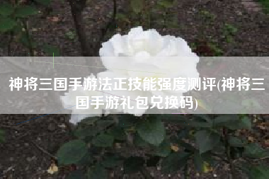 神将三国手游法正技能强度测评(神将三国手游礼包兑换码)