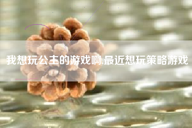 我想玩公主的游戏啊,最近想玩策略游戏