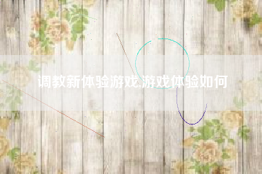 调教新体验游戏,游戏体验如何