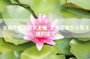 王者荣耀铠铭文主播_王者荣耀怎么看主播的铭文