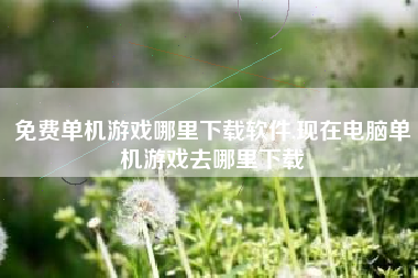 免费单机游戏哪里下载软件,现在电脑单机游戏去哪里下载
