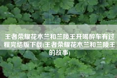 王者荣耀花木兰和兰陵王开喝醉车有过程完结版下载(王者荣耀花木兰和兰陵王的故事)