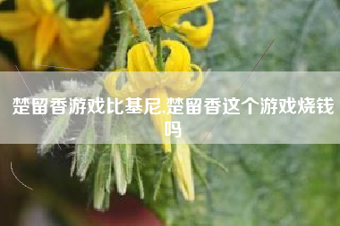 楚留香游戏比基尼,楚留香这个游戏烧钱吗