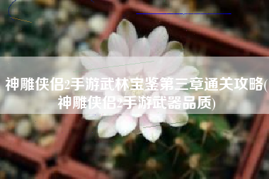 神雕侠侣2手游武林宝鉴第三章通关攻略(神雕侠侣2手游武器品质)