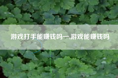 游戏打手能赚钱吗一,游戏能赚钱吗