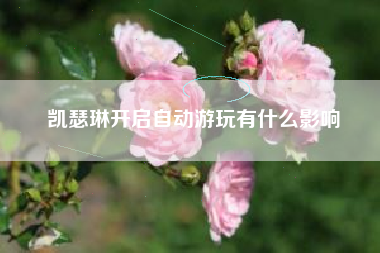 凯瑟琳开启自动游玩有什么影响