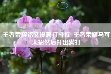 王者荣耀铭文没满打排位_王者荣耀马可大招然后打出满打