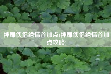 神雕侠侣绝情谷加点(神雕侠侣绝情谷加点攻略)