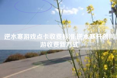 逆水寒游戏点卡收费标准,逆水寒开创网游收费新方式