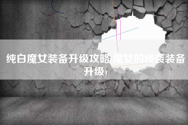 纯白魔女装备升级攻略(魔女的侵袭装备升级)