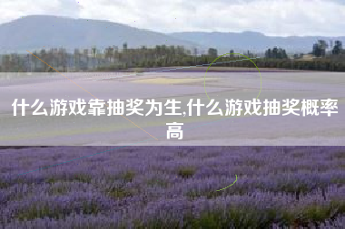 什么游戏靠抽奖为生,什么游戏抽奖概率高