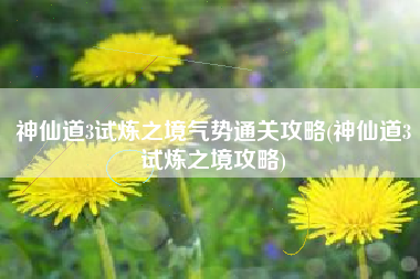 神仙道3试炼之境气势通关攻略(神仙道3试炼之境攻略)