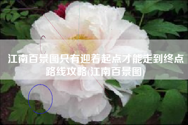 江南百景图只有迎着起点才能走到终点路线攻略(江南百景图)