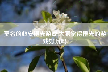 莫名的心安橙光游戏,大家觉得橙光的游戏好玩吗