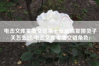 电击文库零境交错第十章剧情夏娜灵子关怎么过(电击文库零境交错角色)