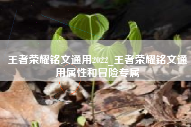王者荣耀铭文通用2022_王者荣耀铭文通用属性和冒险专属