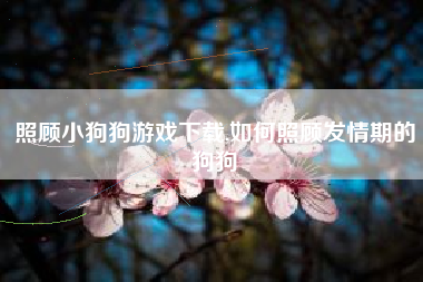 照顾小狗狗游戏下载,如何照顾发情期的狗狗