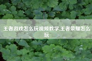 王者游戏怎么玩视频教学,王者荣耀怎么玩