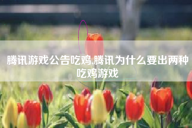 腾讯游戏公告吃鸡,腾讯为什么要出两种吃鸡游戏