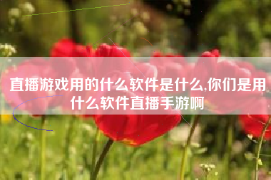 直播游戏用的什么软件是什么,你们是用什么软件直播手游啊