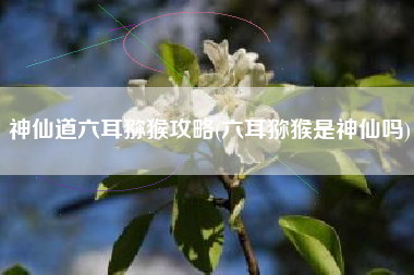神仙道六耳猕猴攻略(六耳猕猴是神仙吗)