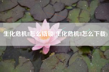 生化危机8怎么撬锁(生化危机8怎么下载)