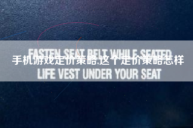手机游戏定价策略,这个定价策略怎样
