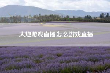 大炮游戏直播,怎么游戏直播