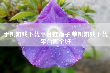 手机游戏下载平台推箱子,单机游戏下载平台哪个好