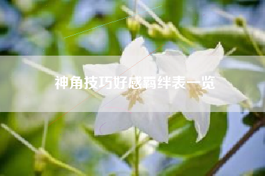 神角技巧好感羁绊表一览