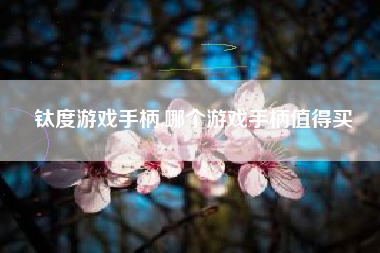 钛度游戏手柄,哪个游戏手柄值得买