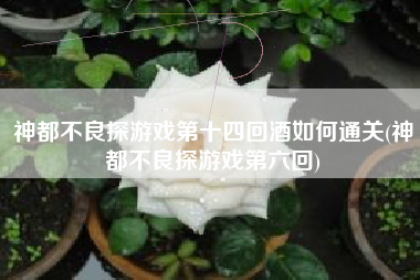 神都不良探游戏第十四回酒如何通关(神都不良探游戏第六回)