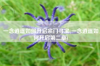 一念逍遥如何开启宗门寻宝(一念逍遥如何开启第二章)