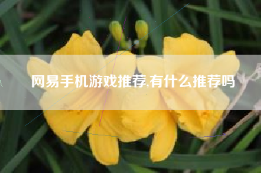 网易手机游戏推荐,有什么推荐吗