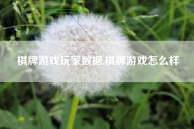 棋牌游戏玩家数据,棋牌游戏怎么样