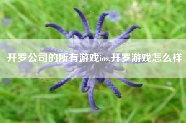 开罗公司的所有游戏ios,开罗游戏怎么样
